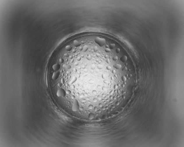 X0000072511272200607290123