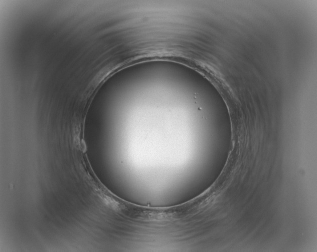 X0000072511273200607290123