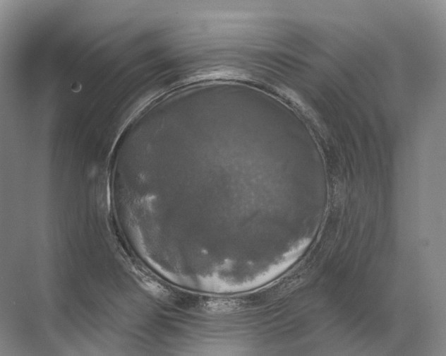 X0000072511274200607290123