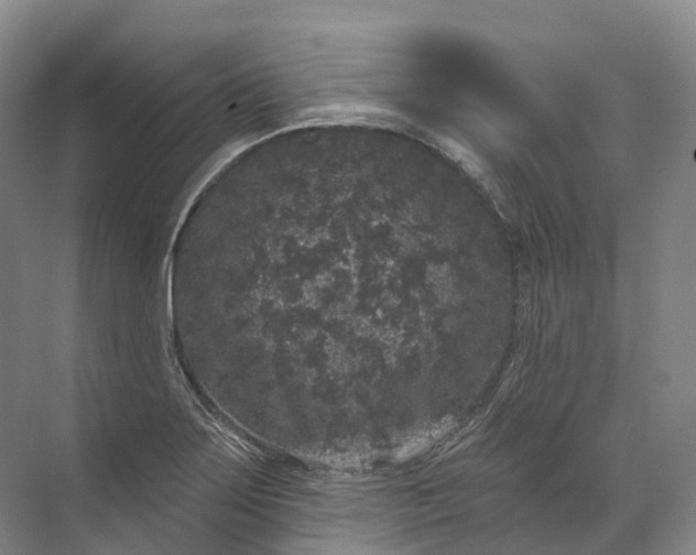 X0000072511275200607290123