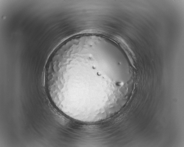 X0000072511276200607290123