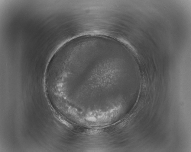 X0000072511278200607290123