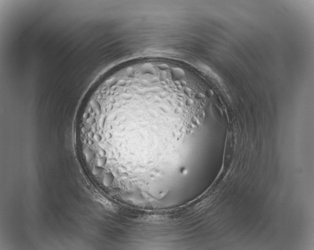 X0000072511280200607290123