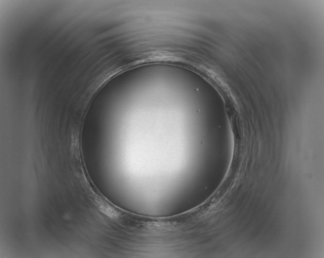 X0000072511281200607290123