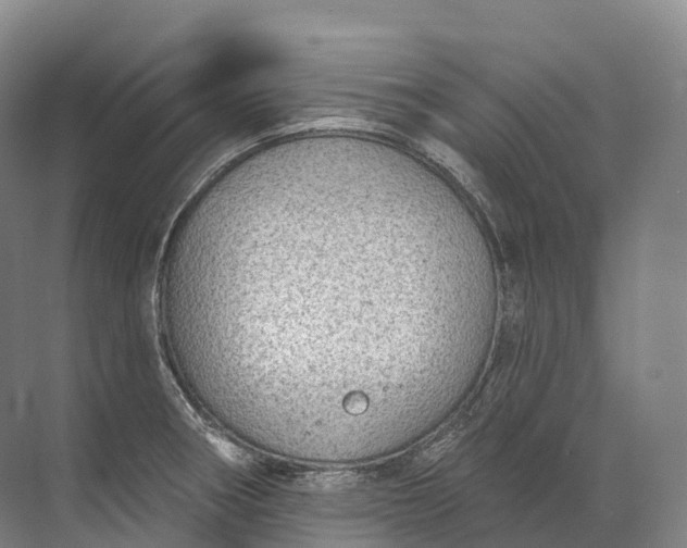 X0000072511282200607290123