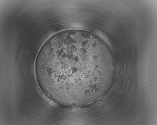 X0000072511283200607290123