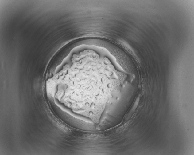 X0000072511284200607290123