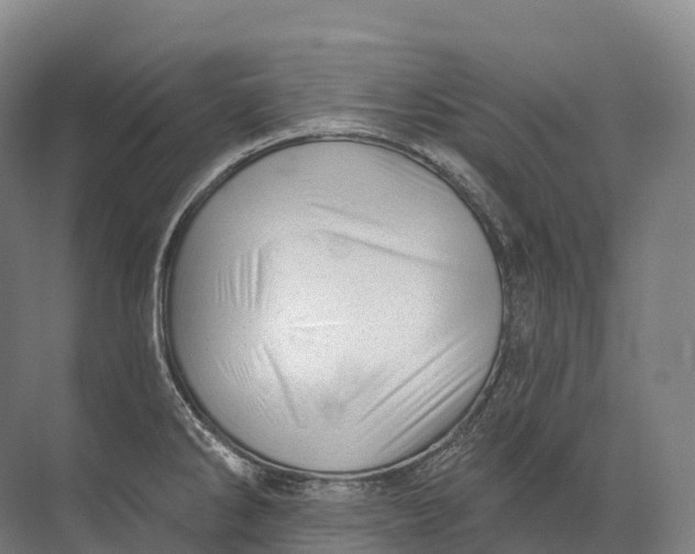 X0000072511286200607290123