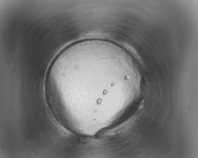 X0000072511288200607290123