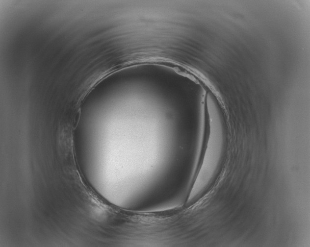 X0000072511289200607290123