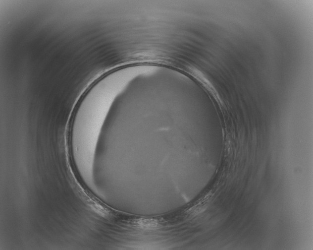 X0000072511291200607290122