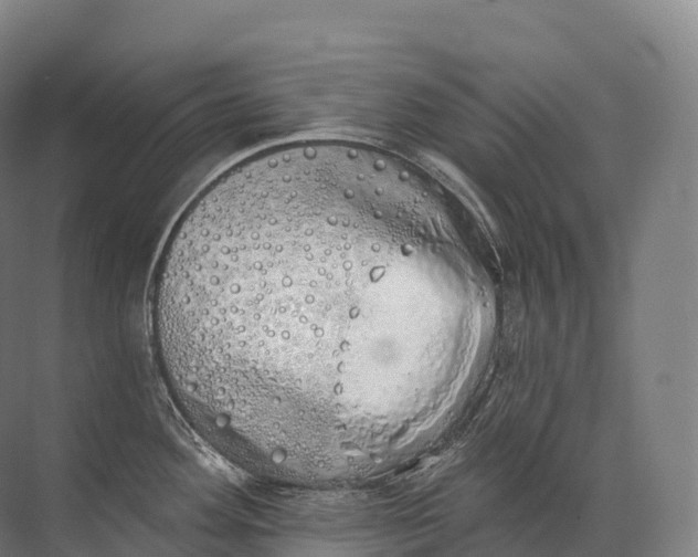 X0000072511292200607290122