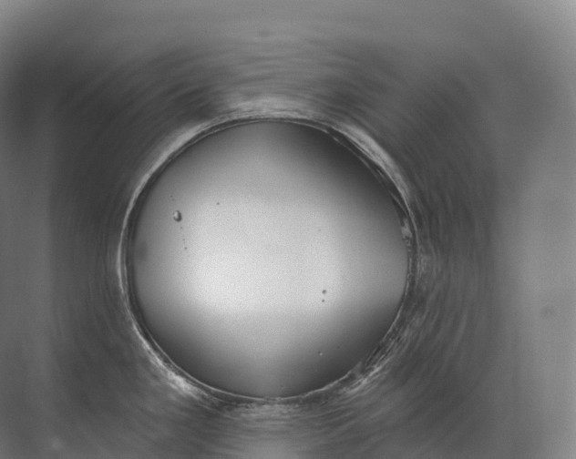 X0000072511293200607290122