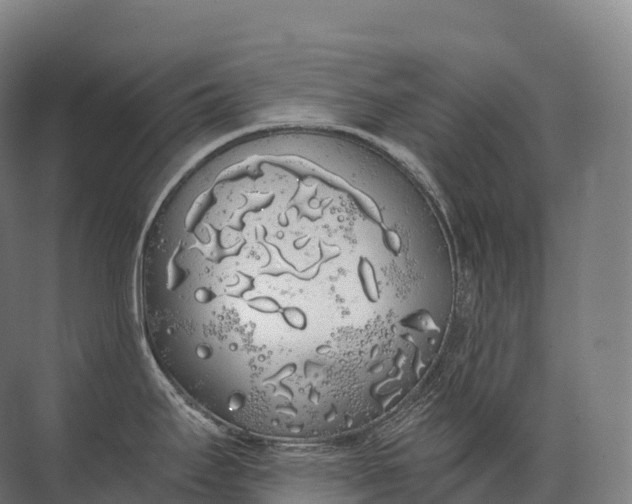 X0000072511295200607290122