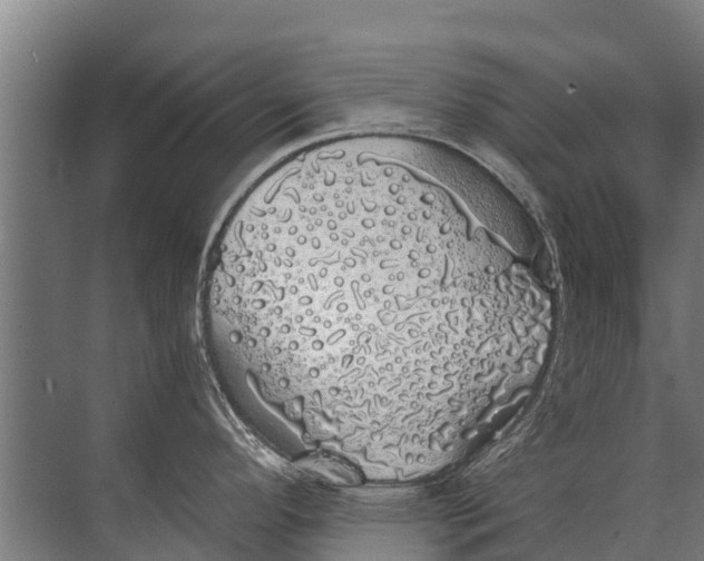 X0000072511296200607290122