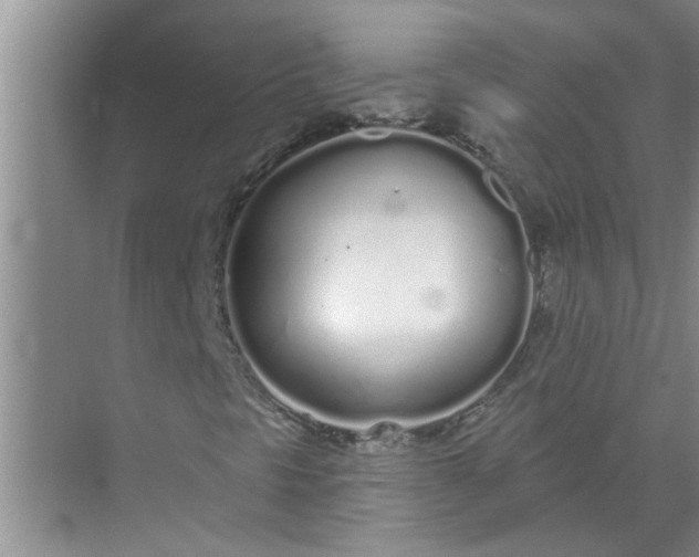 X0000072511297200607290122