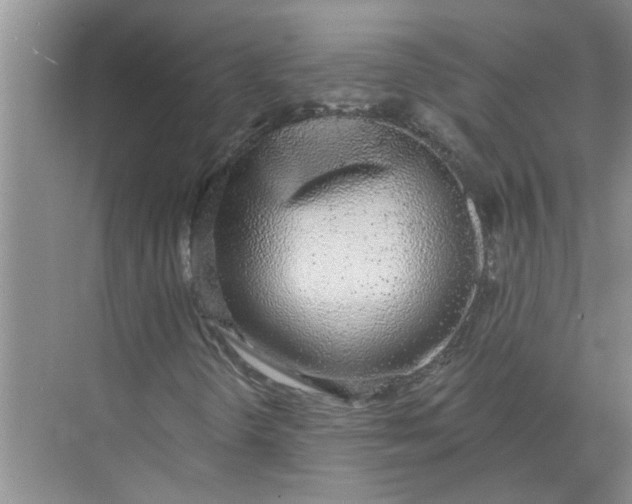 X0000072511298200607290122