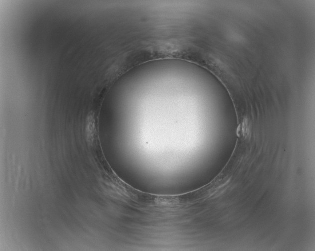 X0000072511299200607290122