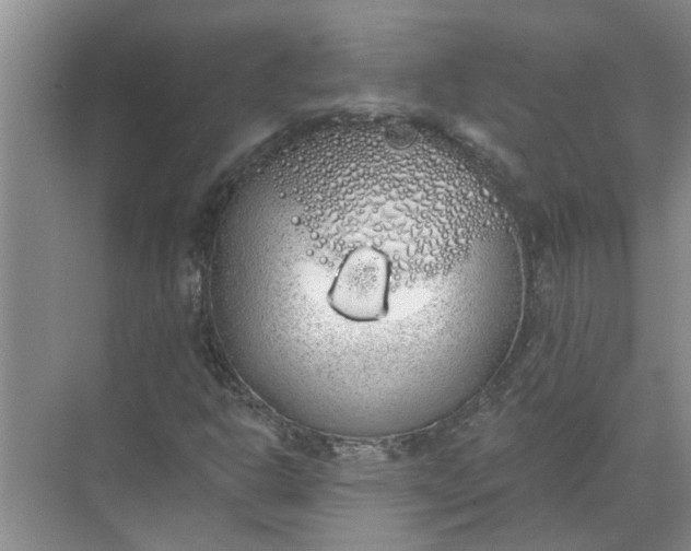 X0000072511302200607290122