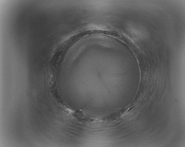 X0000072511303200607290122