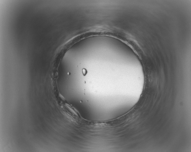 X0000072511304200607290122