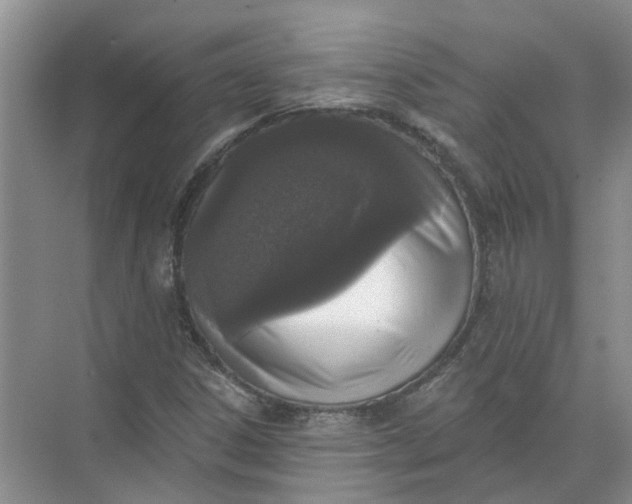 X0000072511306200607290122