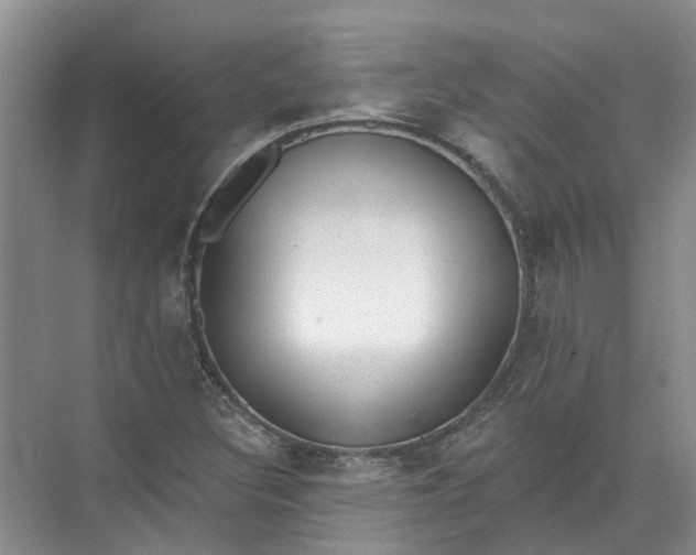 X0000072511308200607290122