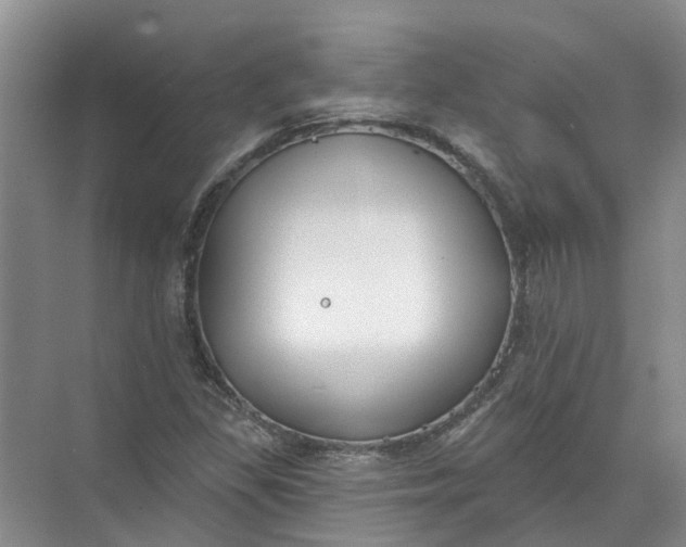 X0000072511309200607290122