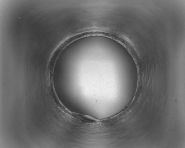 X0000072511310200607290122