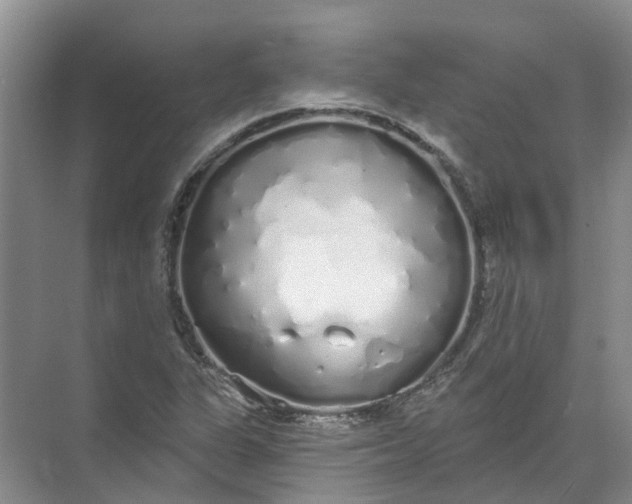 X0000072511311200607290122