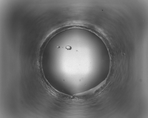 X0000072511312200607290122