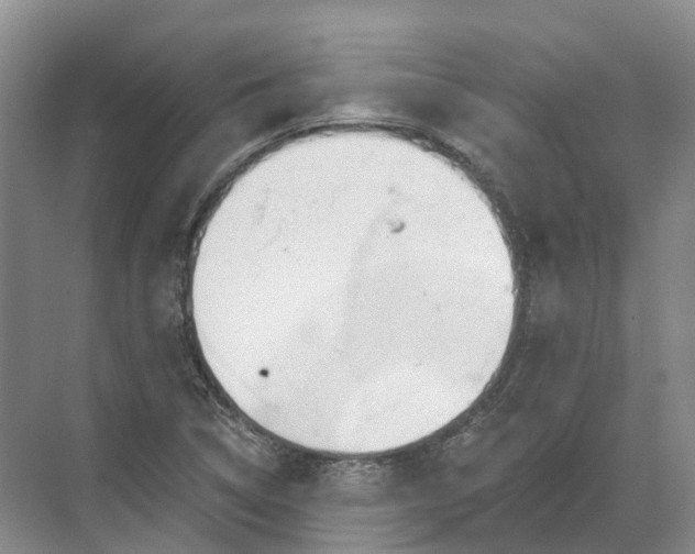 X0000072511314200607290122