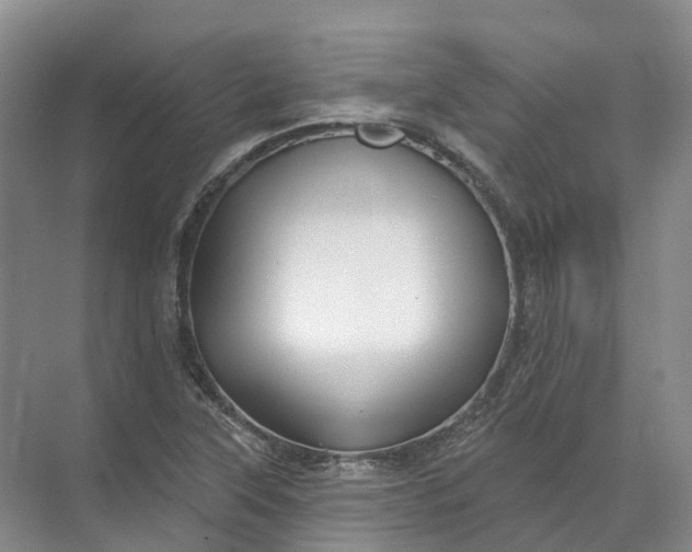 X0000072511315200607290122