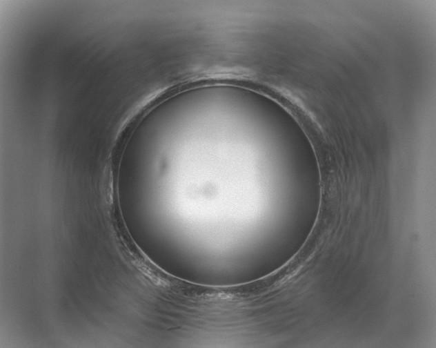 X0000072511317200607290122