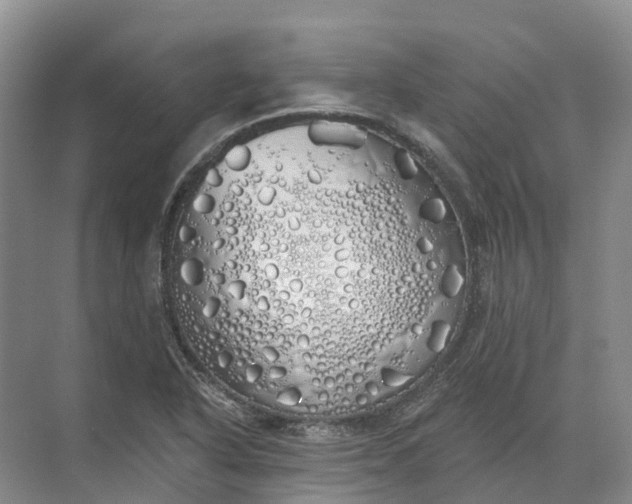 X0000072511318200607290122