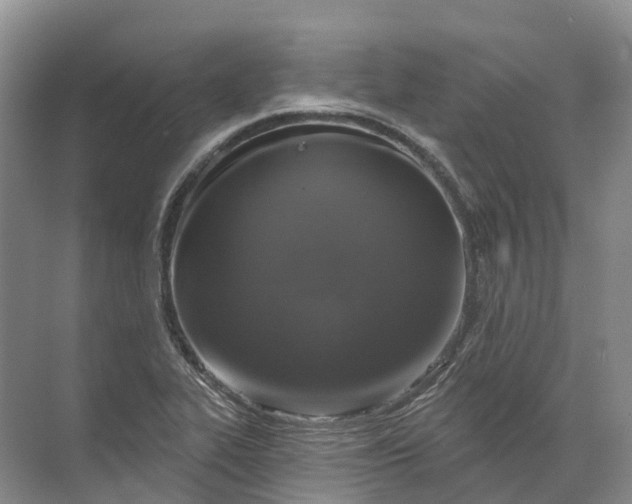 X0000072511319200607290122