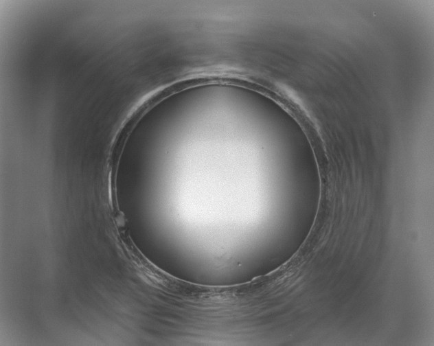 X0000072511320200607290122