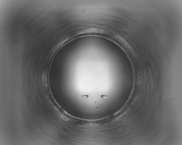 X0000072511321200607290122