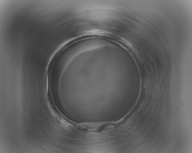 X0000072511323200607290122