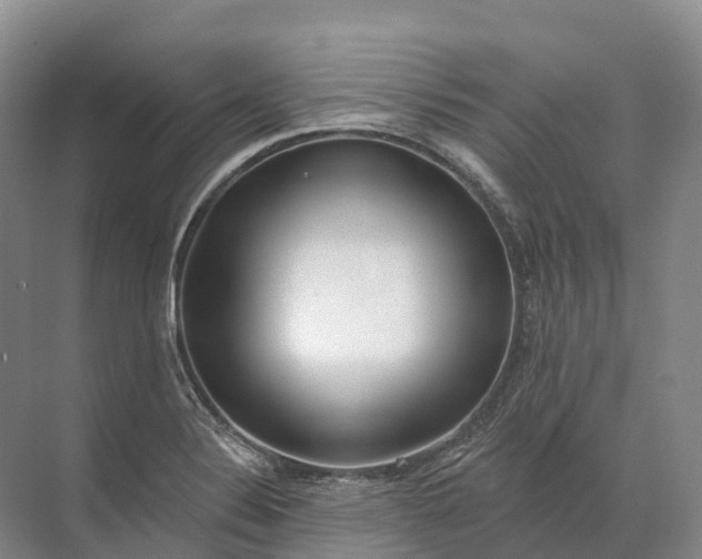 X0000072511324200607290122