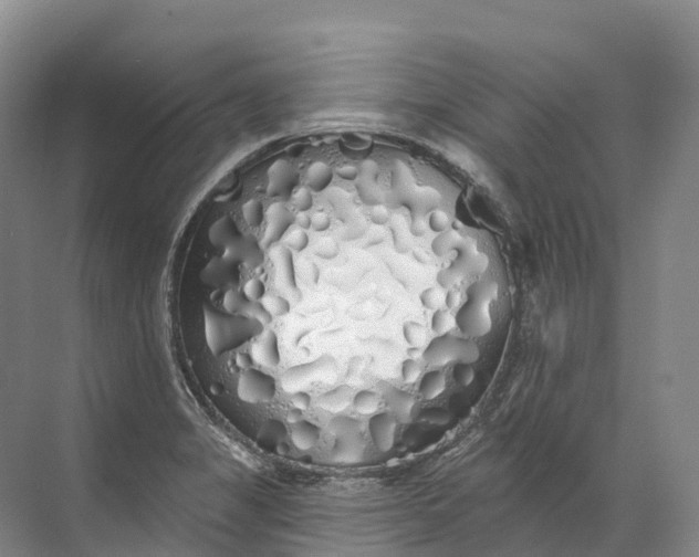 X0000072511325200607290122