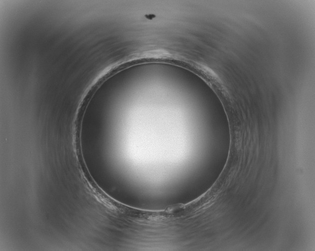 X0000072511326200607290122