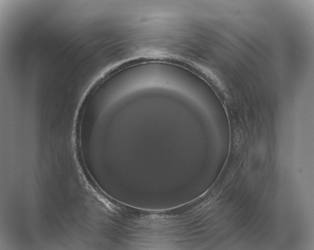 X0000072511327200607290122