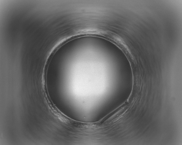 X0000072511328200607290122