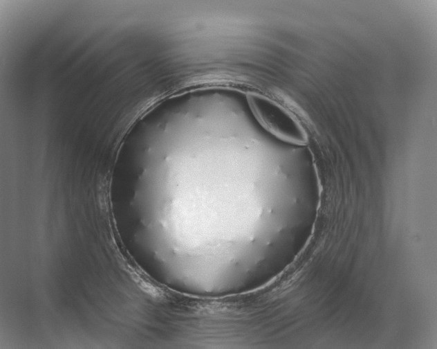 X0000072511329200607290122