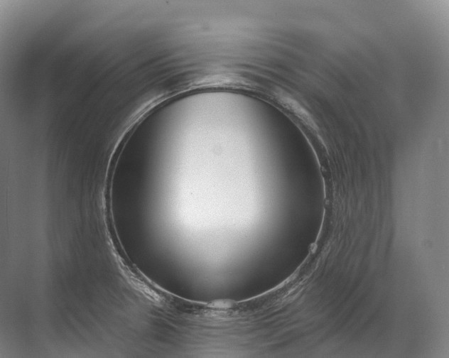 X0000072511330200607290122