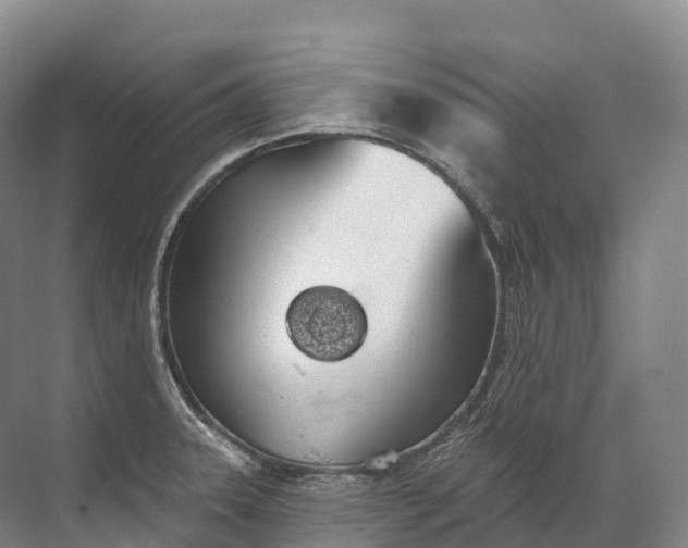 X0000072511331200607290122