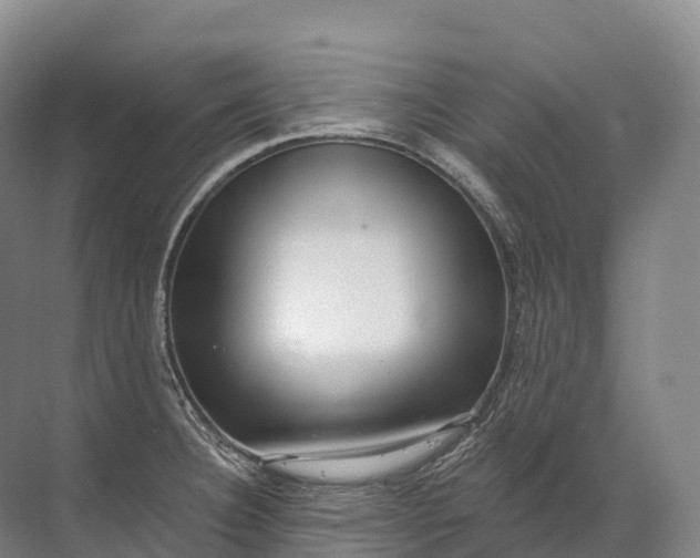 X0000072511332200607290122