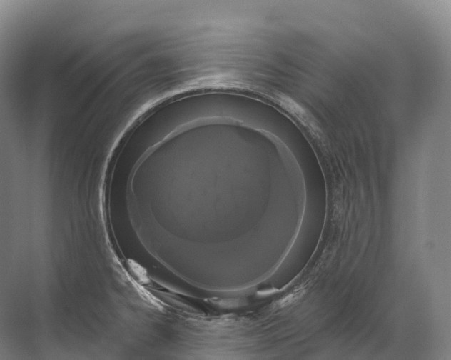 X0000072511334200607290122