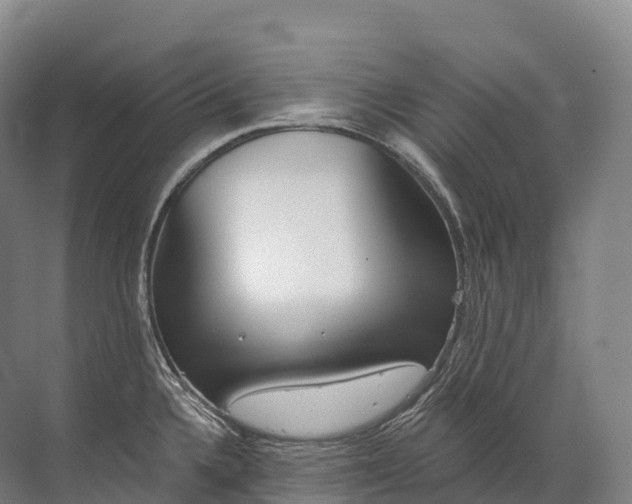 X0000072511336200607290122